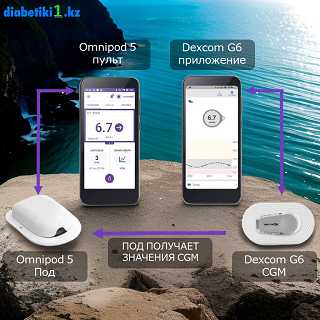 dexcom, глюкоза, уровень, omnipod, инсулин, система, автоматический, диабет, подача